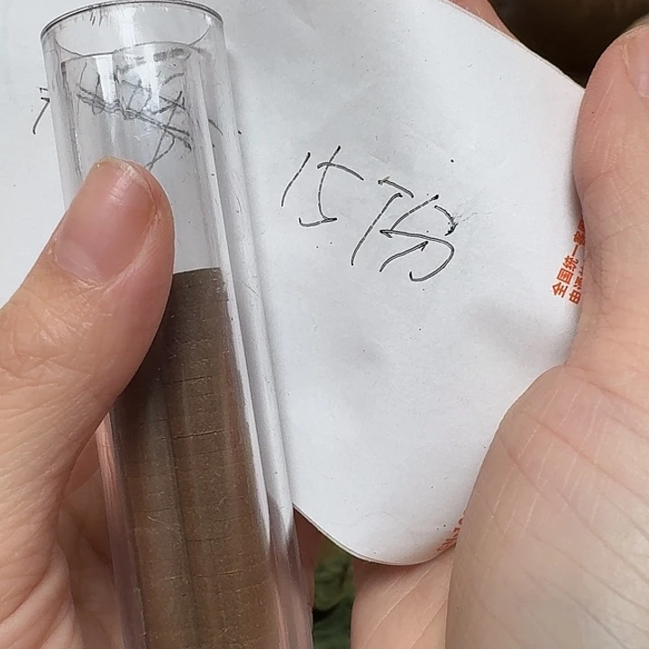 红***姐玲珑香阁闪购专用链接