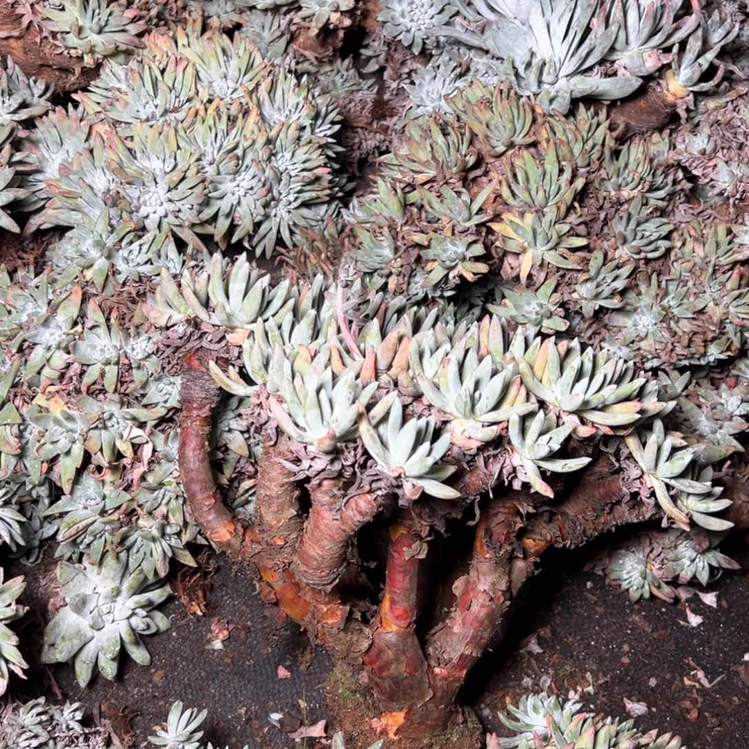 5412哈哈哈哈哈哈哈哈