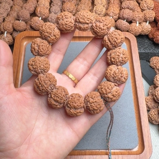 菩提12号尼泊尔大金刚23梅花五龙