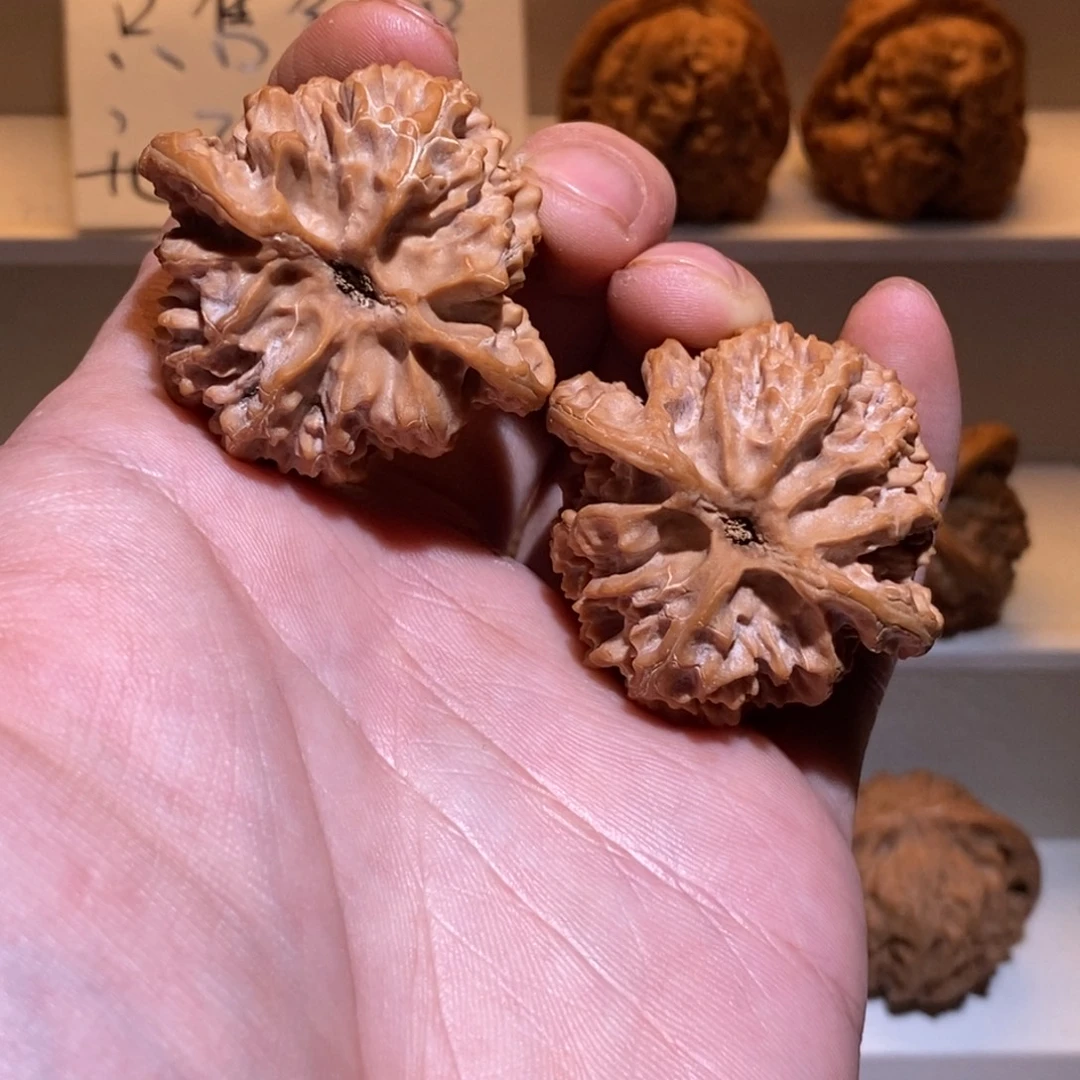 一***灬42.5尺 全品无修白茬 苹果园