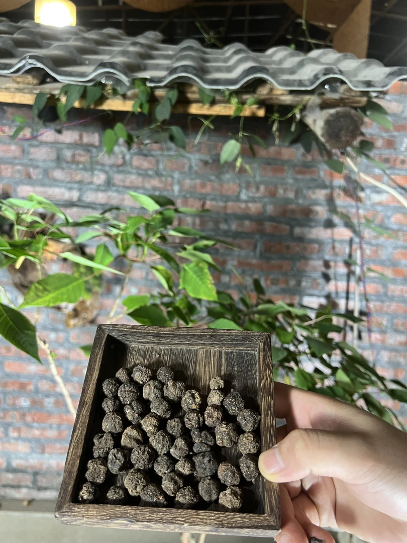 【现收好物】  小✘淦✘丹   藕150g-500g