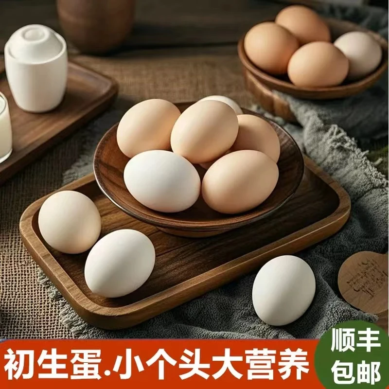 土鸡蛋【生鲜-跑山鸡】