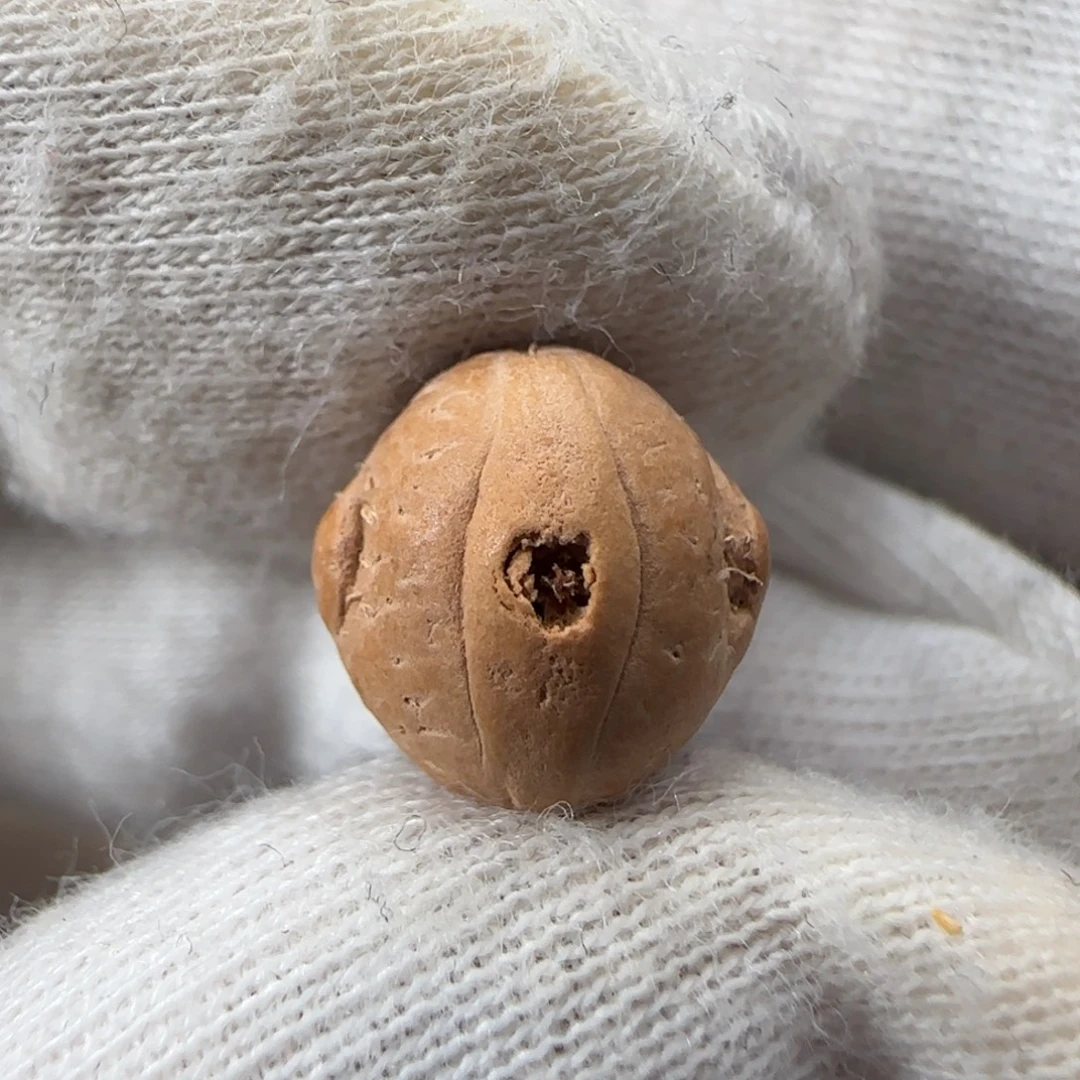 好***.吊坠凤眼菩提凤眼菩提