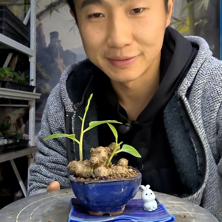 ?**行中青园艺一物一拍418