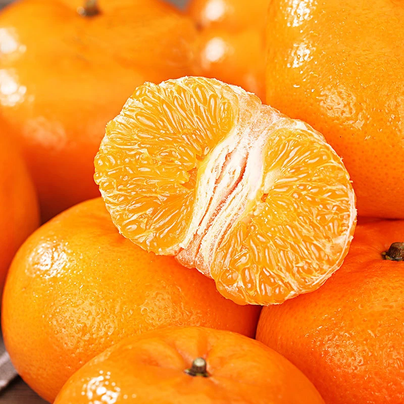 桔乡人云南哀牢山沃柑桔子薄皮橘子产地直发5/9