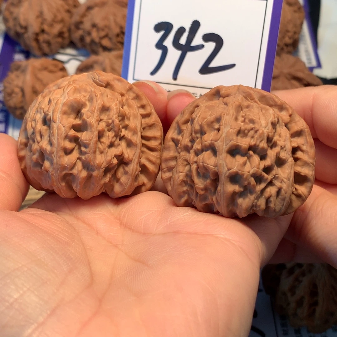 把件文玩核桃342白狮子4.5