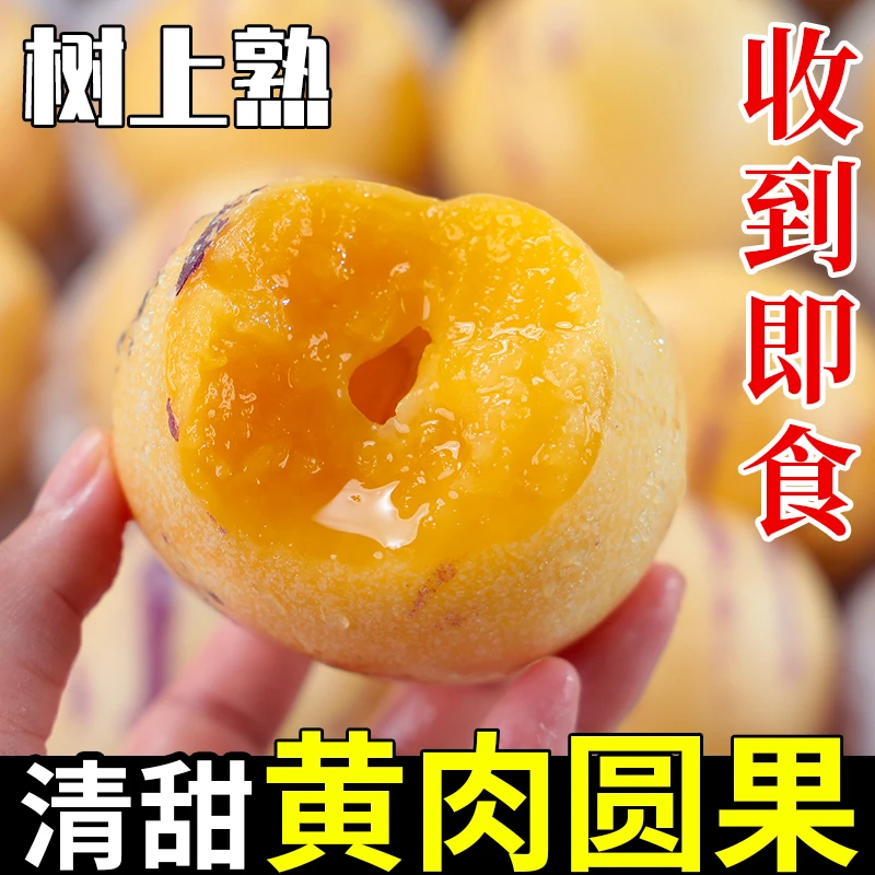 【树上熟】云南石林人参果新鲜水果产地直发当季整箱圆果产地直发