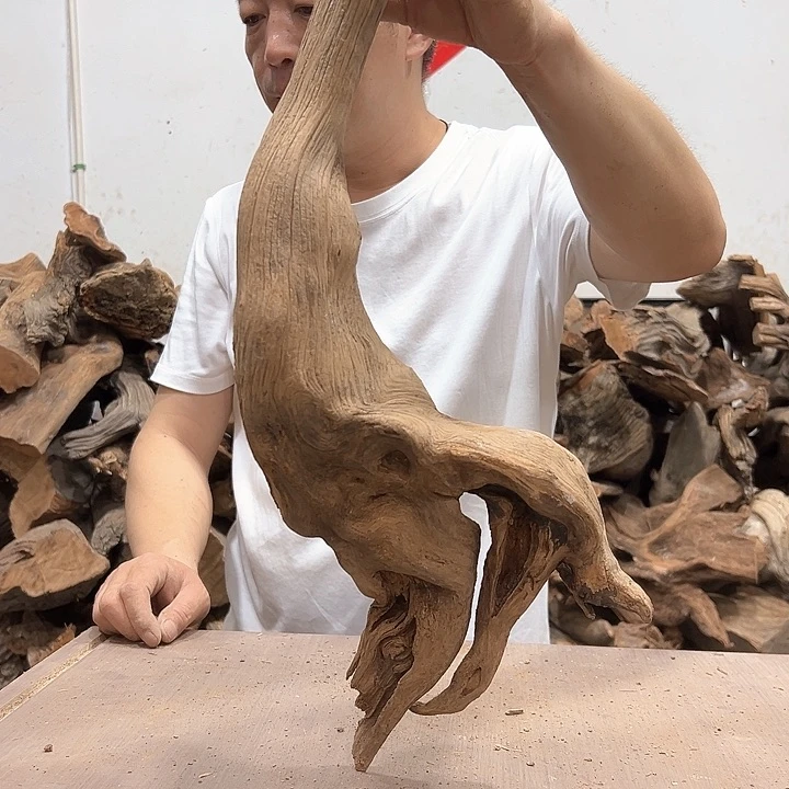 柏木红****柏我们都是好孩子呀我也是