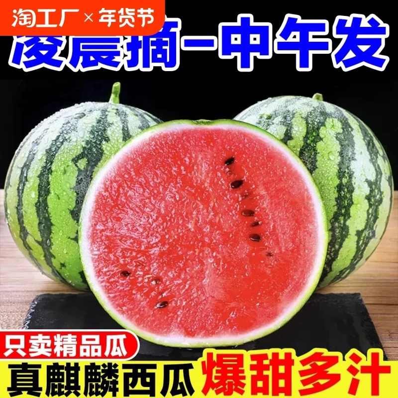 顺丰包邮麒麟西瓜春节不停水果现摘超甜8424美都云南海南西瓜薄皮