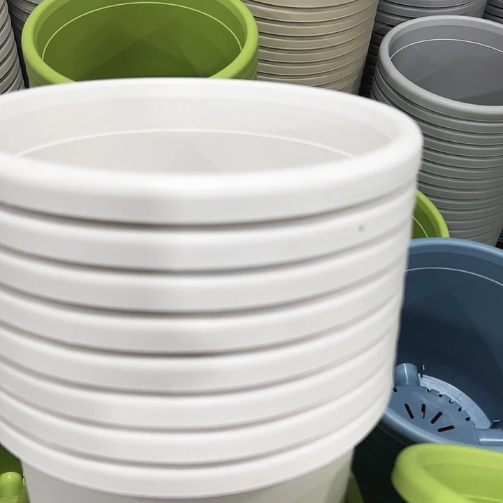 特价4号四季口25高21.5白色8只无托