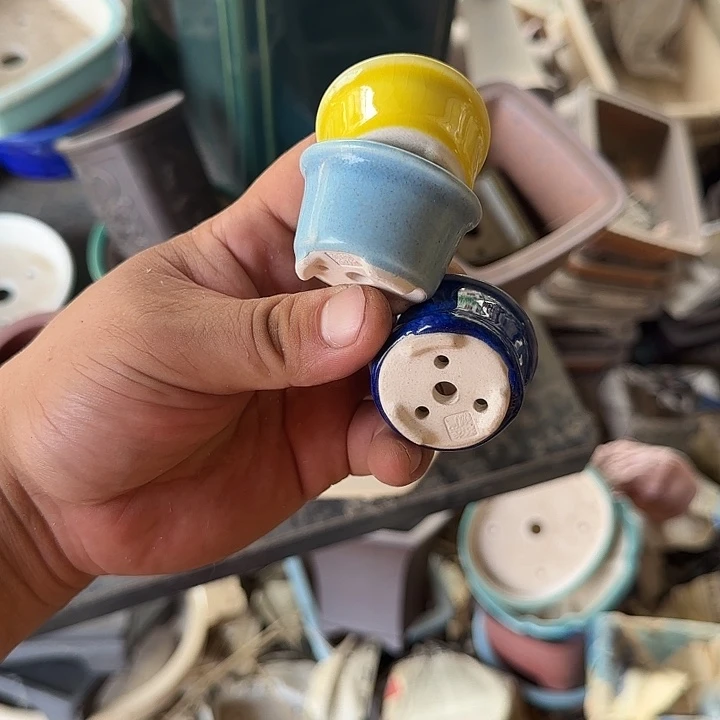 我是仲其祥我现在还