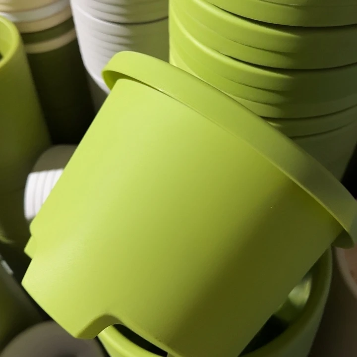 球根3号果绿无托6个