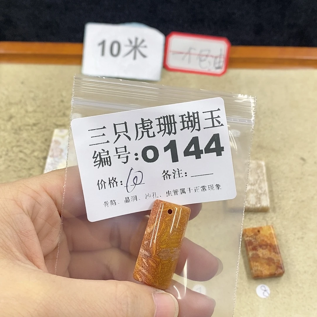 硅化珊瑚（珊瑚玉）1未镶嵌晒****钙