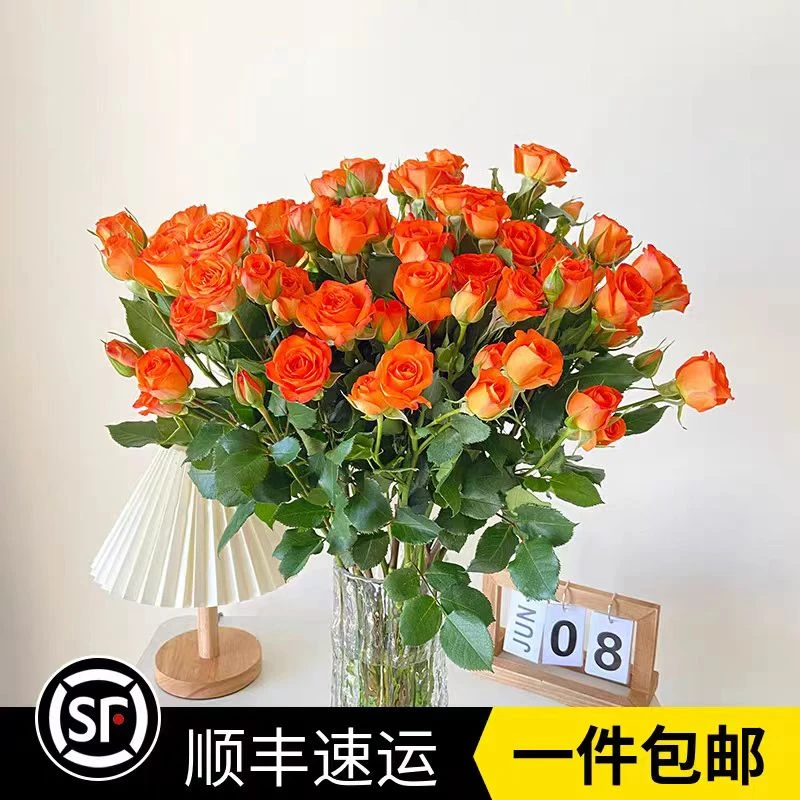 新人特惠【10枝 橙色芭比多头玫瑰 】顺丰