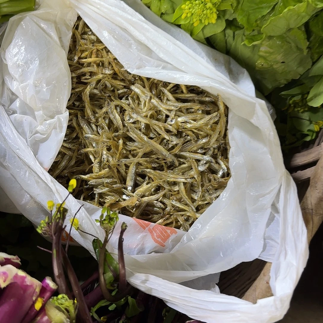 中国大陆11111111111