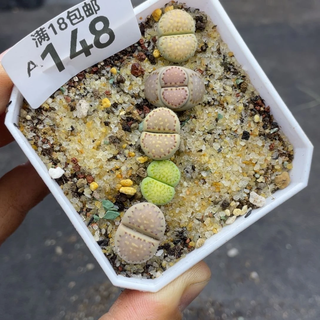 000000000000000000148