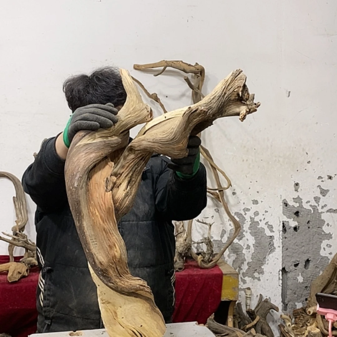 【闪购商品】柏木上****啦我们都是好孩子