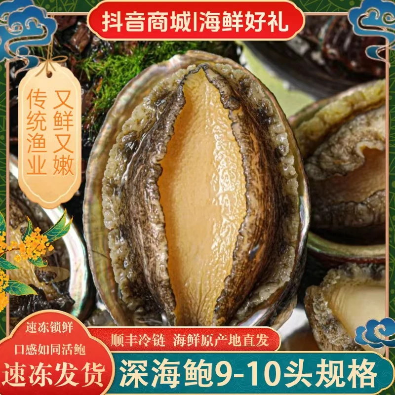 【丰鲍】9-10头鲍鱼5-6cm左右 东山岛深海冷链速冻鲍鱼3