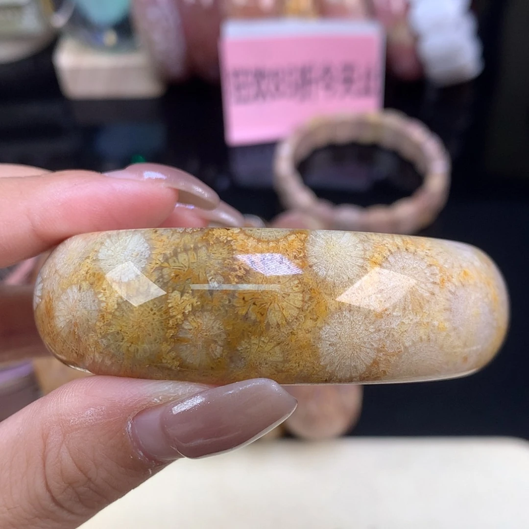 【闪购商品】颈饰未镶嵌硅化珊瑚（珊瑚玉）精品手镯57.5（23号）