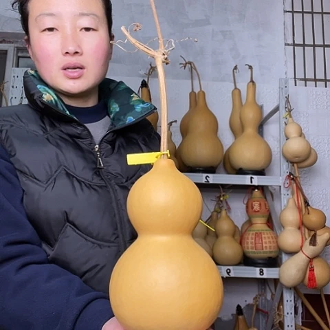 天然植物葫芦文玩