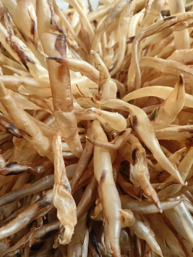 【潮满堂】小鳗鱼胶鱼胶海产干货营养煲汤方便食用