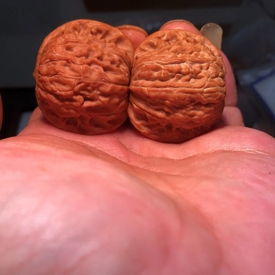 ****有机玻璃38全品磨盘