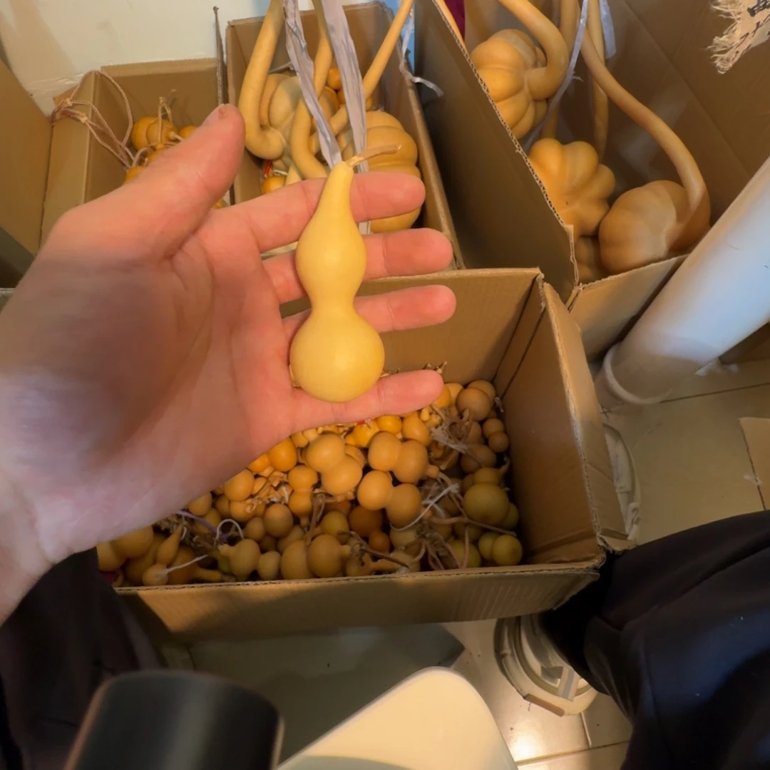 十***.葫芦111111111111111111