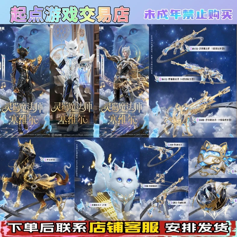 和平精英最新神装【灵猫魔法师】系列角色黑曜夜骑马皮肤M416升级枪