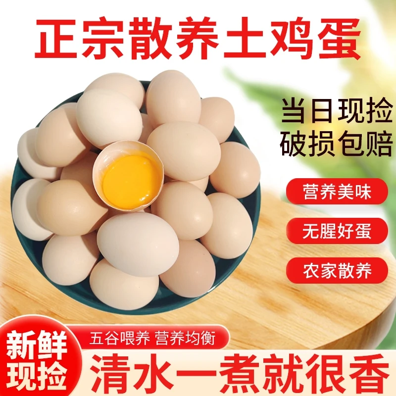田农肴【现捡现发】50枚农村土鸡蛋山林散养谷物喂养鸡蛋40-50克/枚