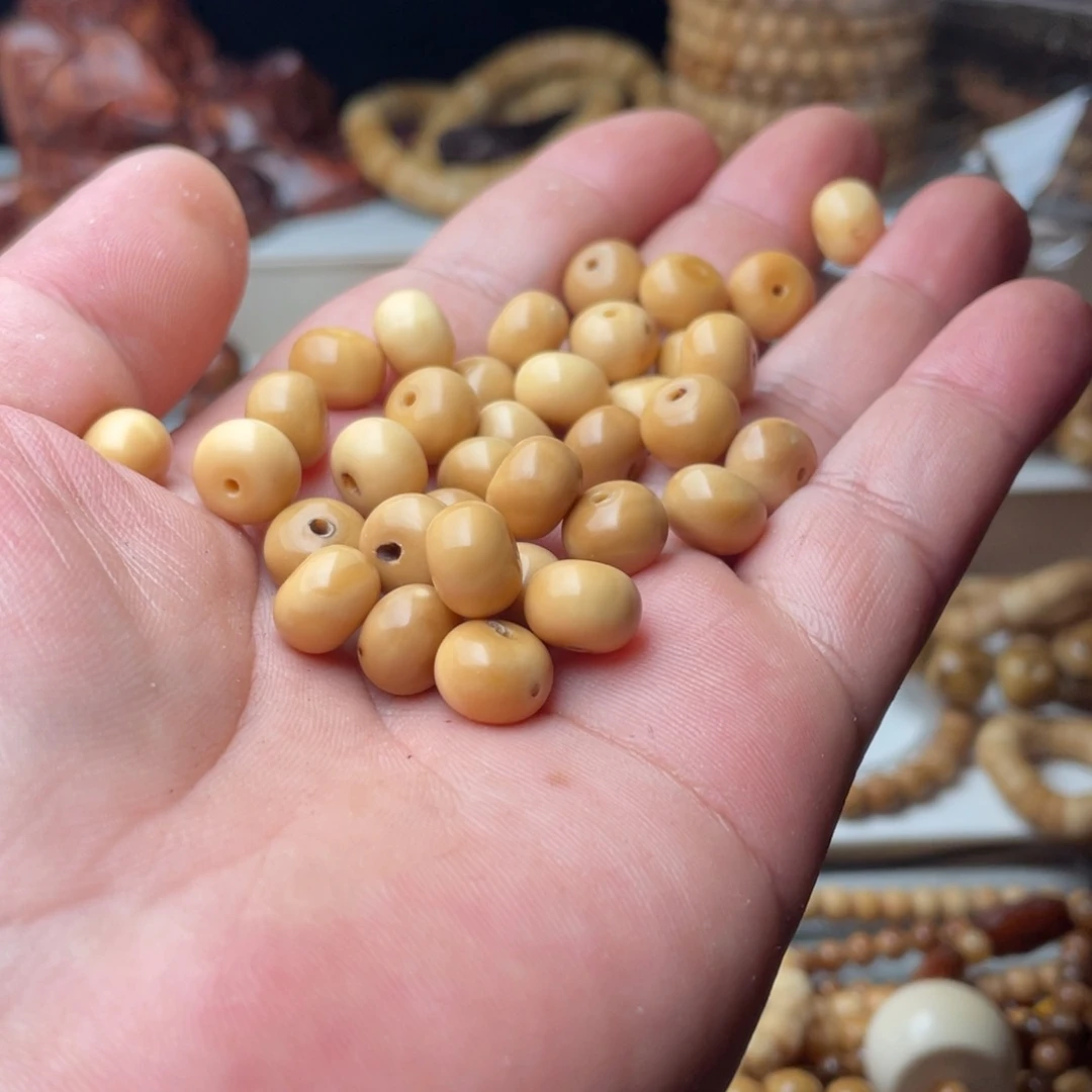 菩提根/象牙果吊坠真龙脊菩提11带月手串无科技