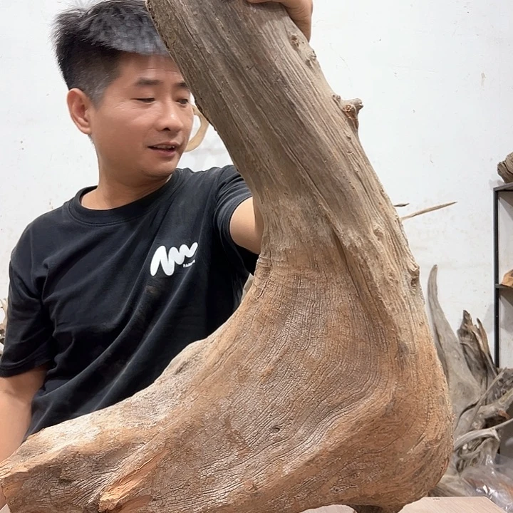 柏木郭*理我们都是好孩子啊哈哈哈哈哈