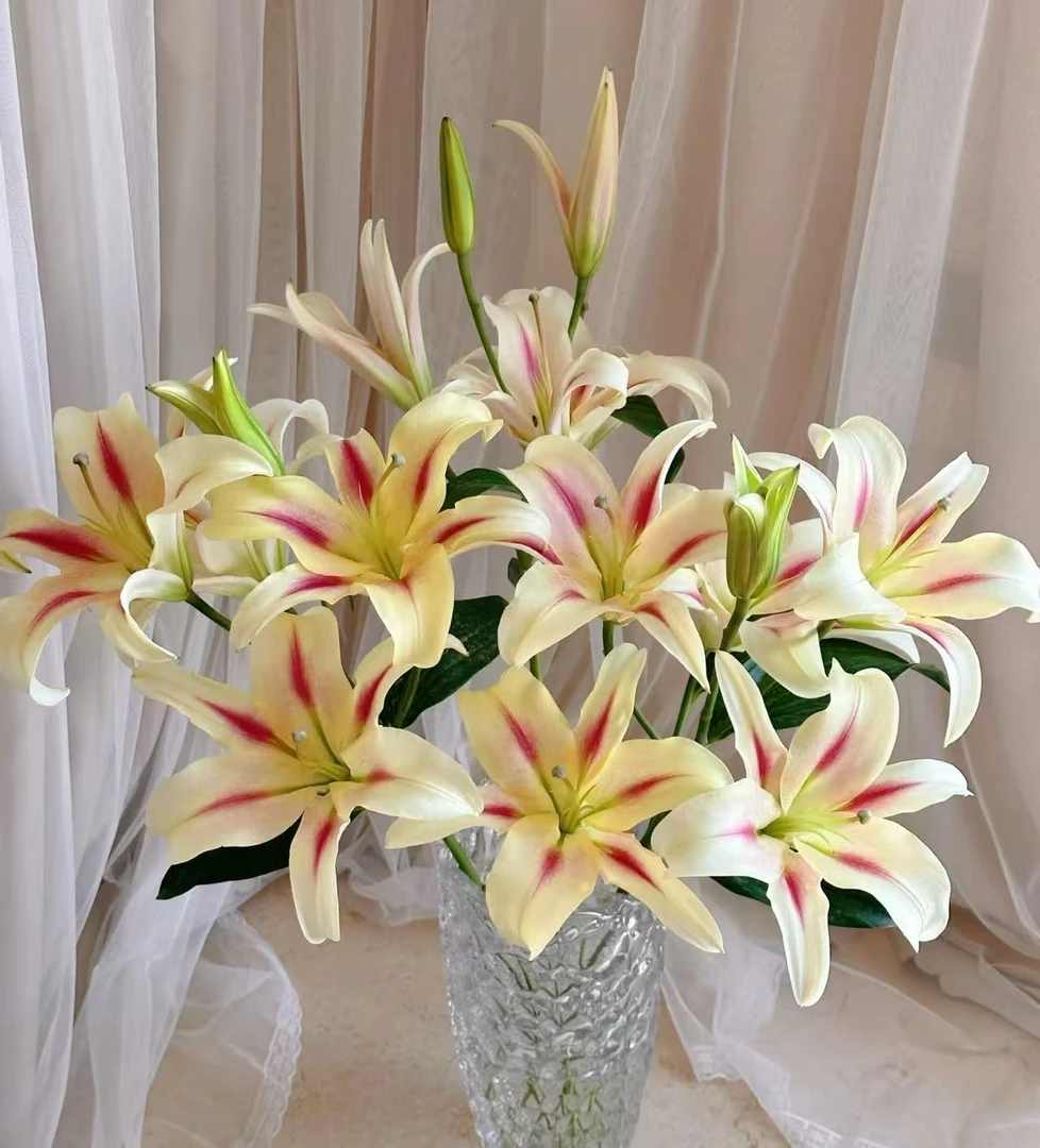 【多头小仙女百合】云南鲜花顺丰包邮