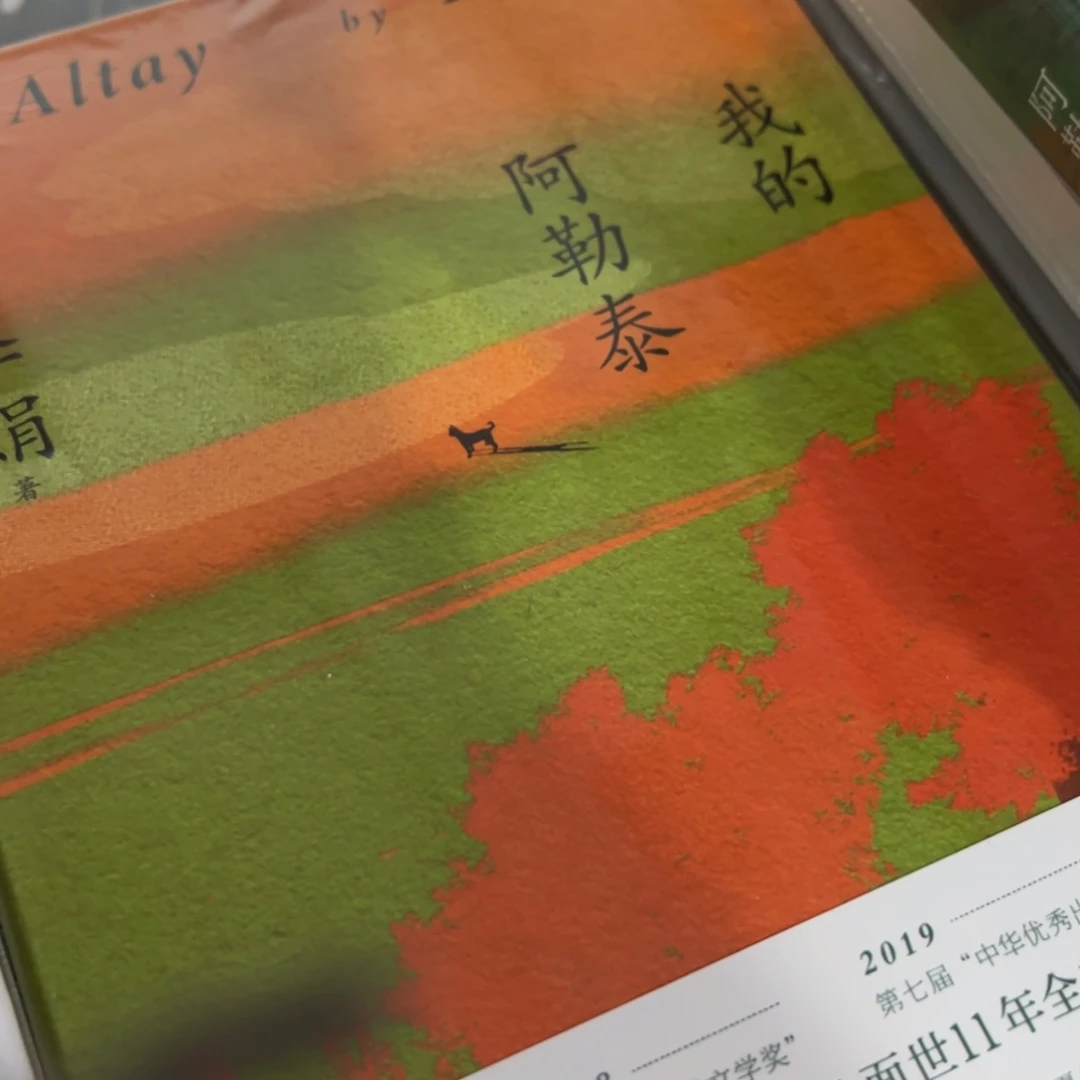 阿勒泰的角落精装一个