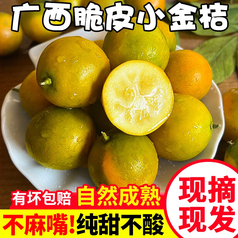 广西脆皮金桔新鲜水果桔子当季甜脆冰糖皮薄2斤装现摘现发包邮
