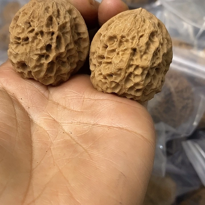 核桃云南铁核桃基地24