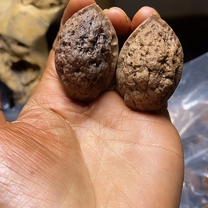 把件文玩核桃云南铁核桃基地90