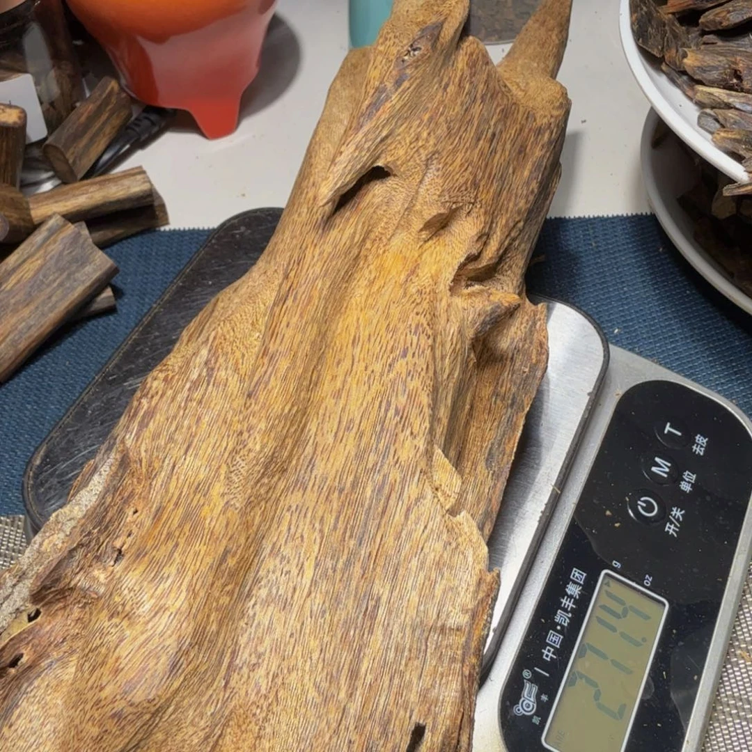 皇***香榧木陆河原母树418克