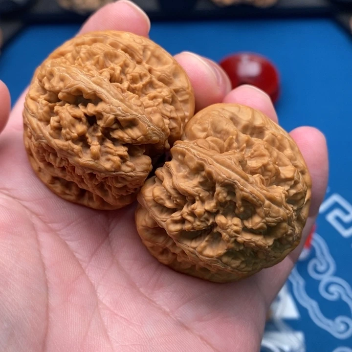 大叶紫檀（黑酸枝木类）