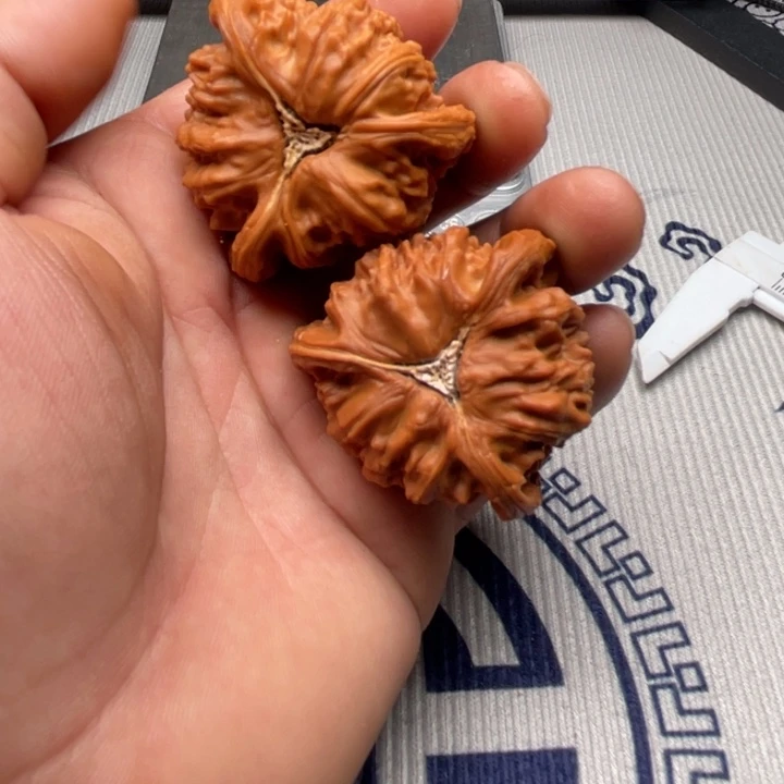****‍文玩核桃吊坠三棱三棱三棱三棱