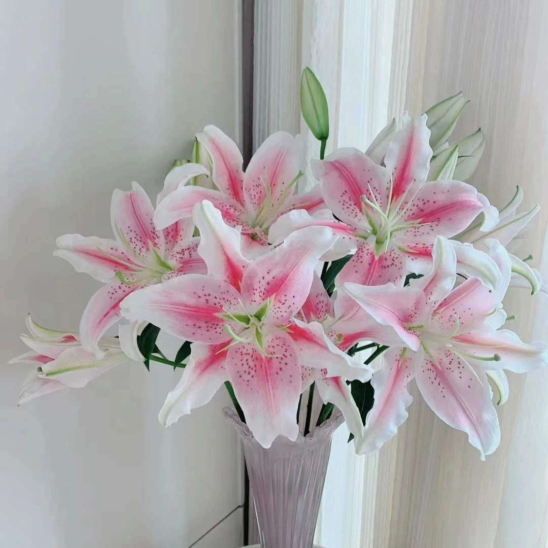 【罗蒂AK】香水百合  基地直发 | 全场鲜花任意两单包邮