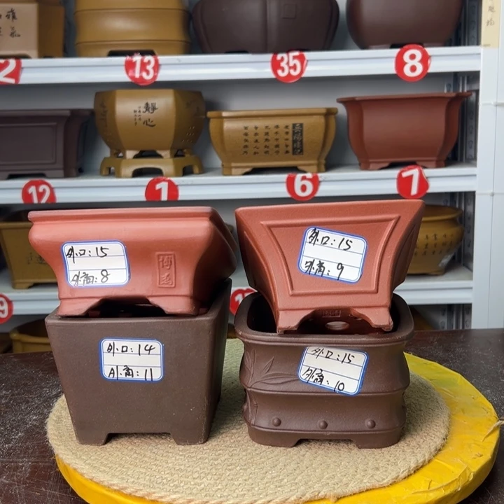 花盆紫砂你在一起