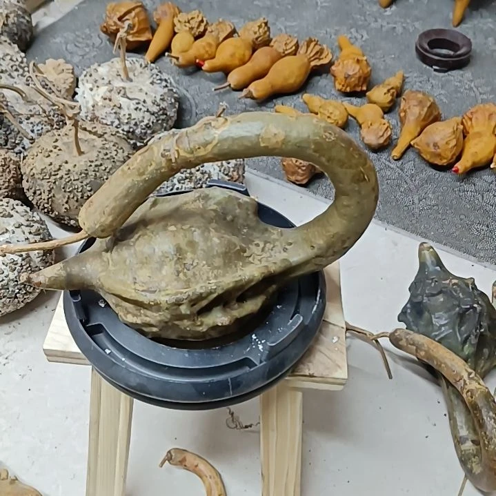 ?**❀鹤首葫芦鹤首葫芦花皮