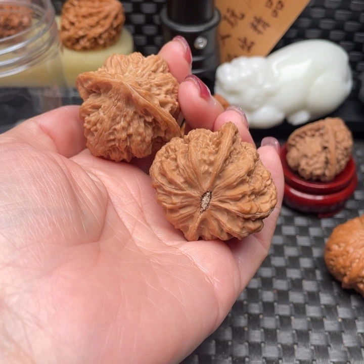 夜***昼40尺精品，马蒂打底发货