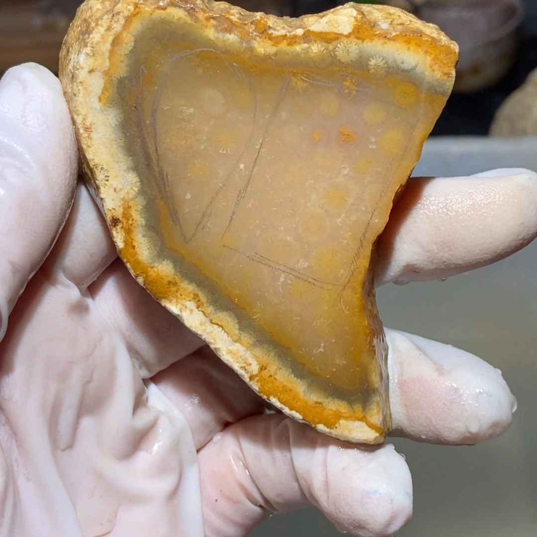 【闪购商品】硅化玉珊瑚玉未镶嵌