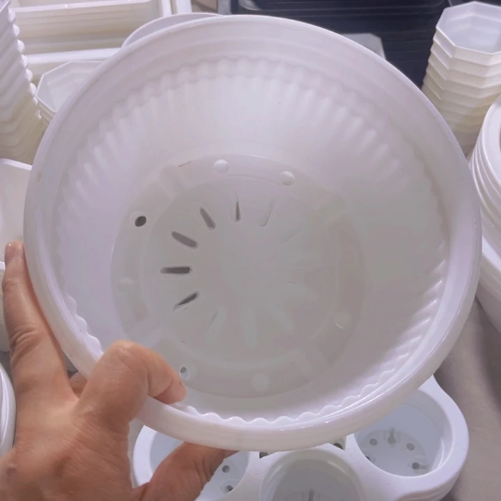白聚宝口20高9一组5