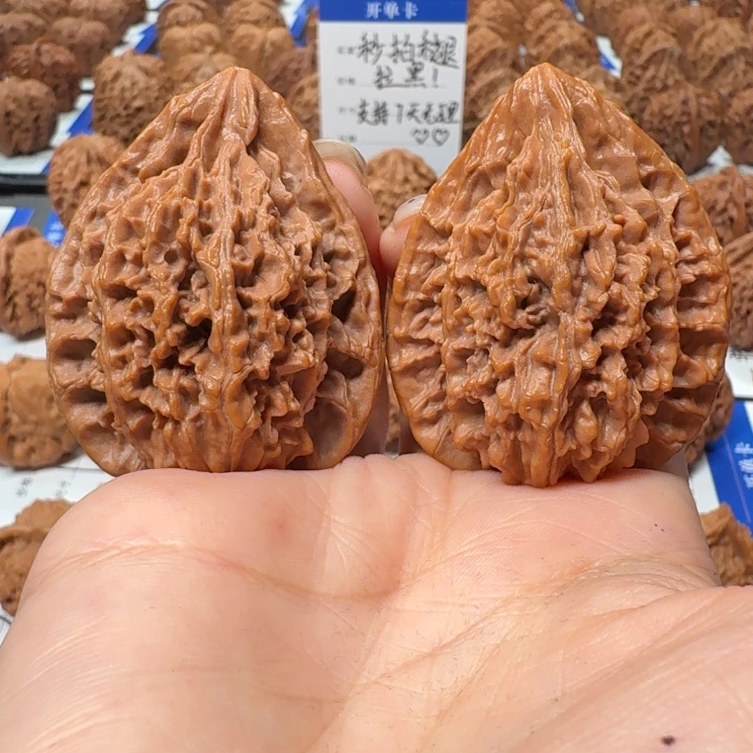 核桃188号 4.4尺秦岭火凤鸡心 已打底