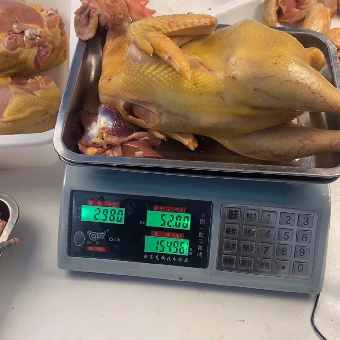 30天中国大陆包装整鸡130