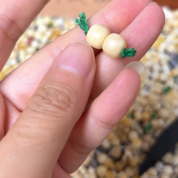蜜蜡未镶嵌裸石8.5mm一对