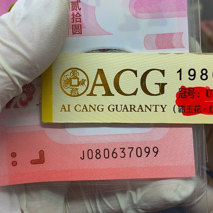 一张一张一张一张一张一张