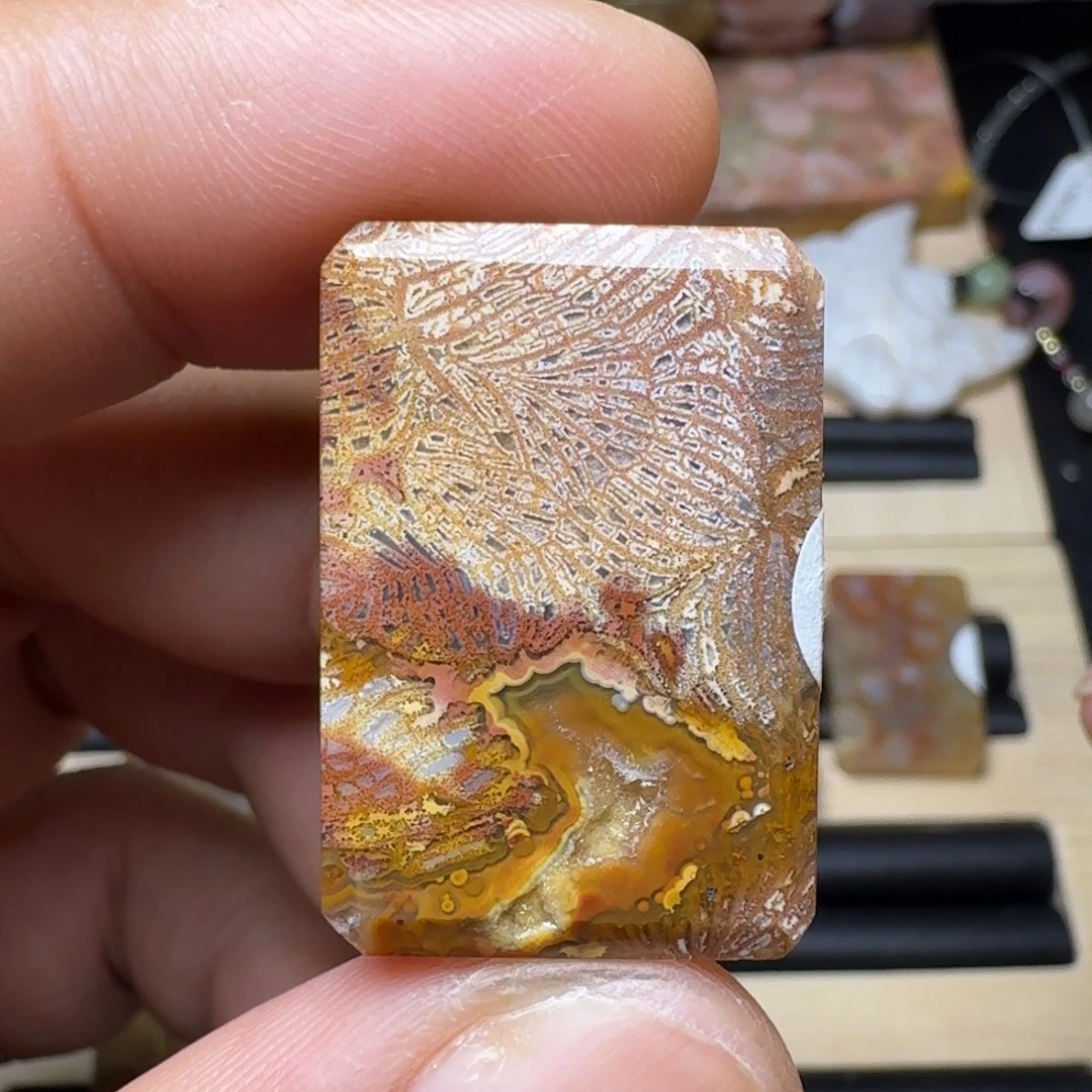 未镶嵌纯天然色有机玉石保真色硅化玉